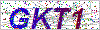 Enter the verification codeGKT1